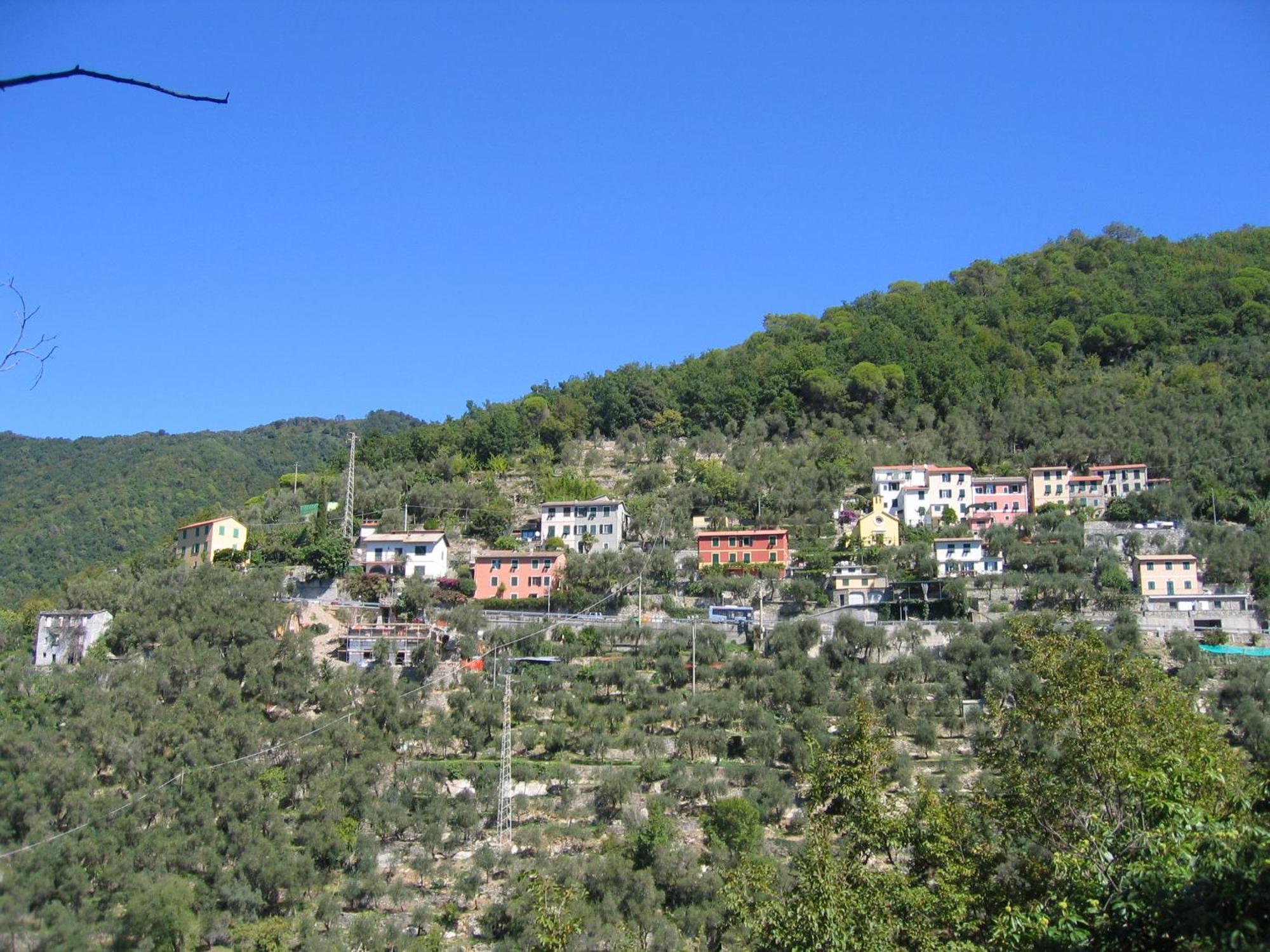 Affittacamere Cerisola 2003 Zoagli Exterior photo